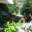 giardino privato (vista_2)