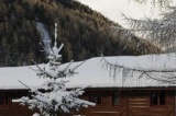 La Tana Dell'Orso Garnì