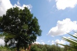 Relais Ciavatta