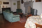 Il Bufalo