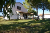 Uliveto Gretacci