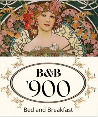 Bnb 900