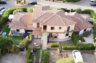 Monima