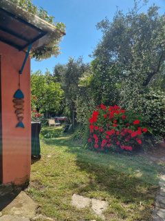 Patty'S Cottage