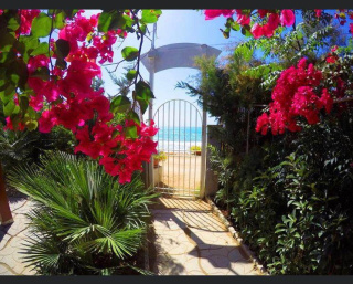 Bungalow 3sirene