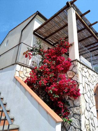 La Casa Accanto