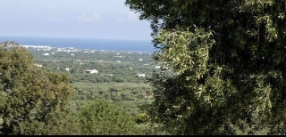 Trullo Relax