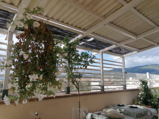 Attico Casa Letizia