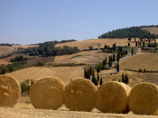 Podere Rigopesci