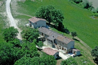 Azienda Agricola Podere Tremulini