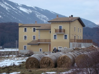 Primo Campo