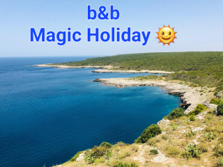 B&B Magic Holiday
