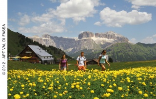 Union Hotels Canazei E Campitello di Fassa