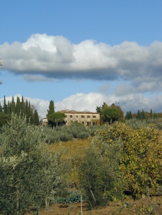 Fattoria Casa Sola