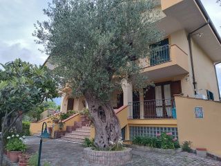 Villagemma