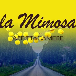 La Mimosa