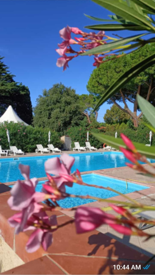 Appartamento in Residence