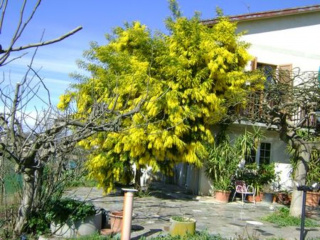 B&B La Mimosa