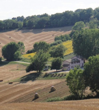 La Quercia del Saggio