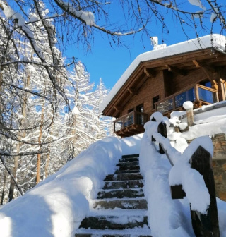 Chalet Blackberry