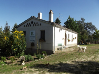 Agriturismo Masseria Testa Ciruglio