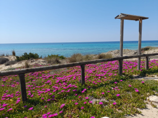 Casa Vacanze Antonio