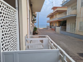 Ammare