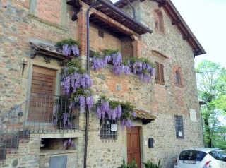 Casa Vacanze Il Glicine