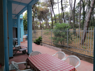 Bibbona Summer