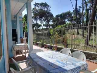 Bibbona Summer