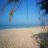 Mare