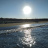 mare