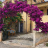 casa 1