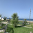 Mare