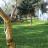 Il giardino 1