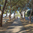 Ceriale a due passi 07