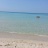 Mare