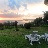 vista tramonto da giardino