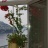 room seaview Positano