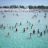mare