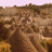 Panorama Trulli Alberobello