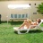solarium