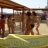 Divertimento in spiaggia