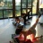 Palestra Fitness 