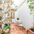 cortile esclusivo
