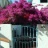 cancello ingresso
