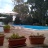 Piscina e fiori