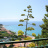 Vista del panorama dal balcone annesso alla Cucina/Pranzo - APPARTAMENTO sito in Santa Maria di Ricadi 