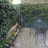 Giardino esclusivo