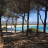 Pineta e spiaggia di Budoni vicino alla casa
